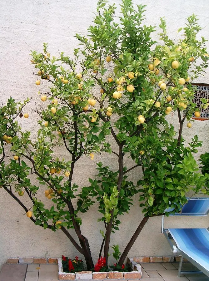 Hotel Ca' Ligure Pietra Ligure